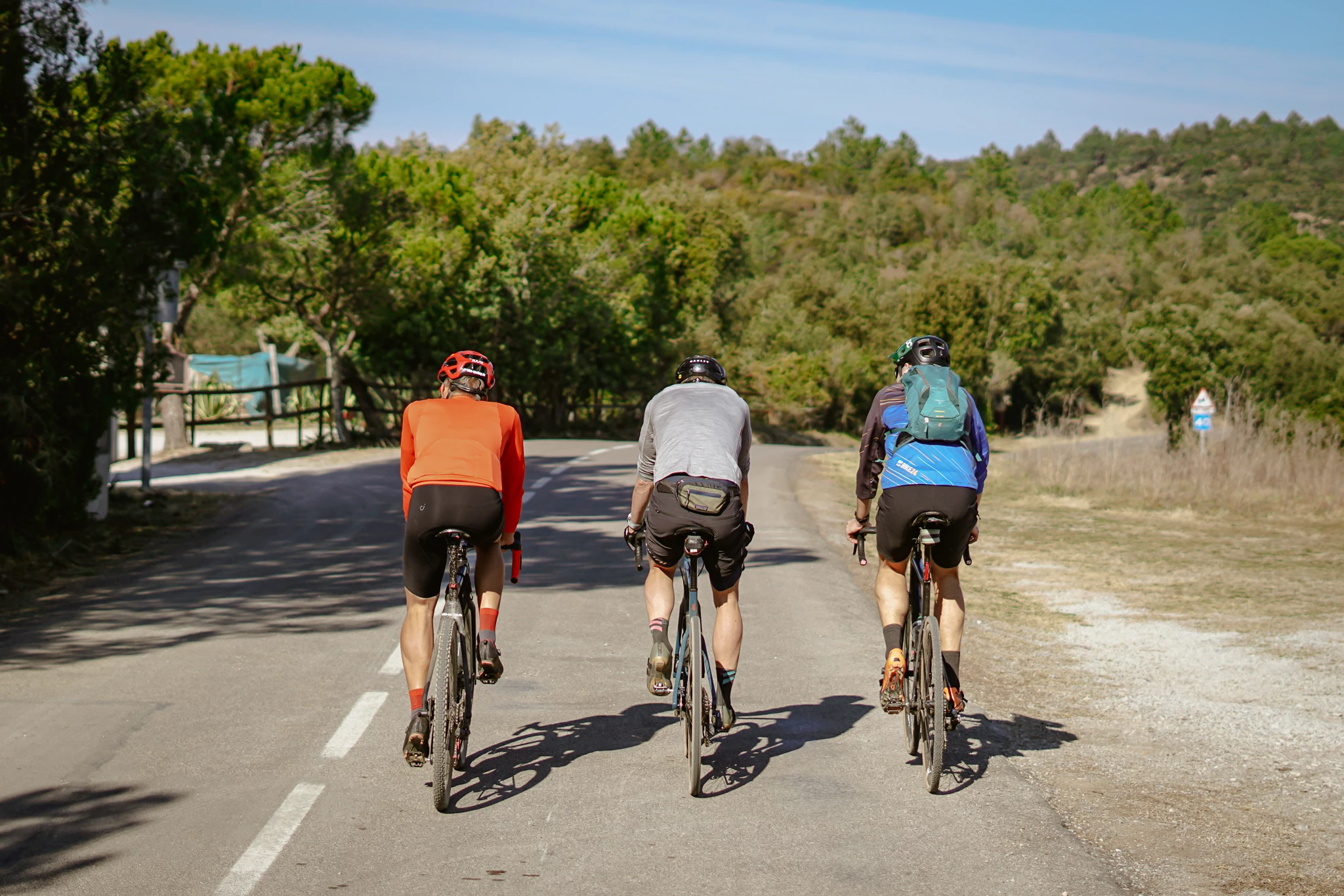 Accessoires VAE Soldes 2 Accessoires VAE Soldes -Accessoires VAE Soldes 278398957 5517759091582295 6036783050421148245 n