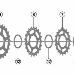 Shimano - Pignons Pour Cassette SLX CS-M7000 11 Vitesses