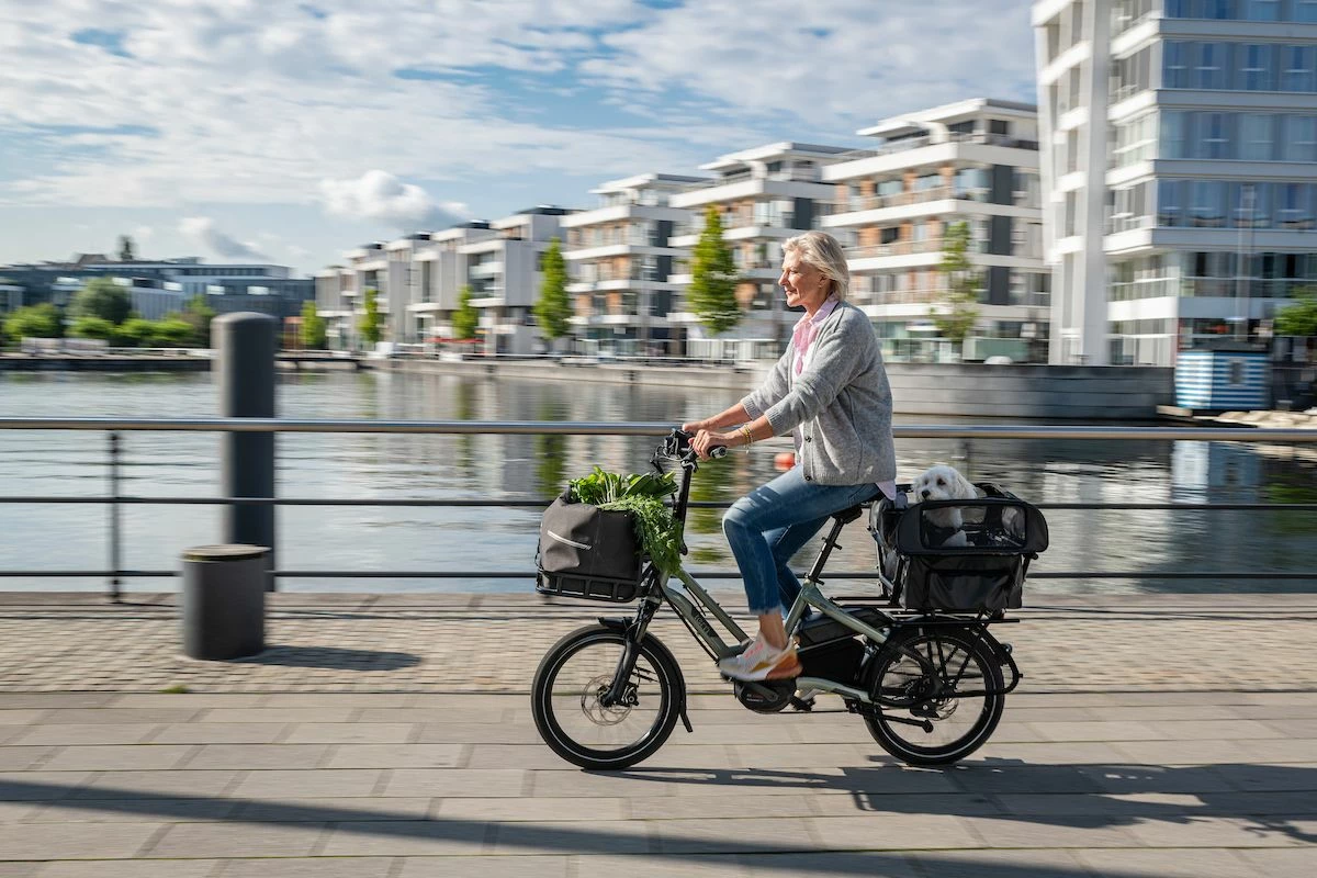 Tern - Dog Roof Mini - Abri Pour Chien 1 Tern - Dog Roof Mini - Abri Pour Chien